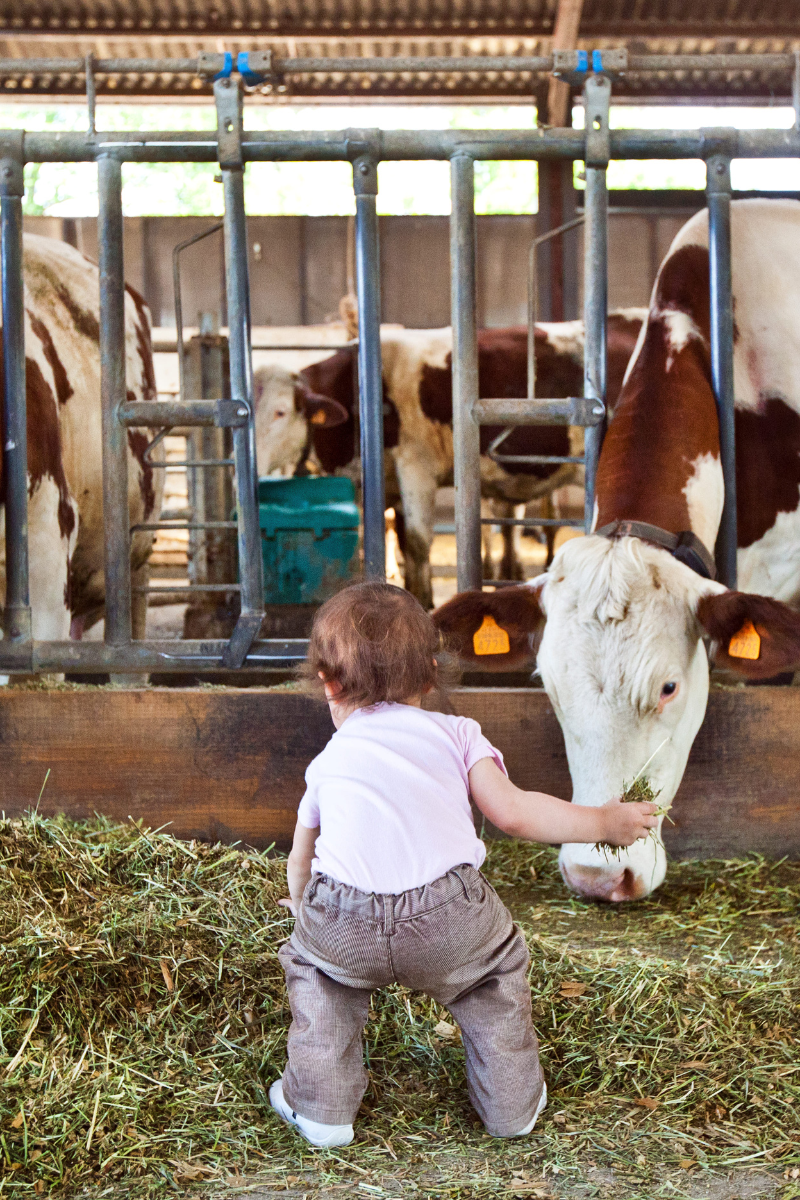 Ferme aux trois granges